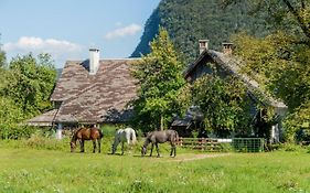 Charming Blacksmith'S House @ Lake Bohinj