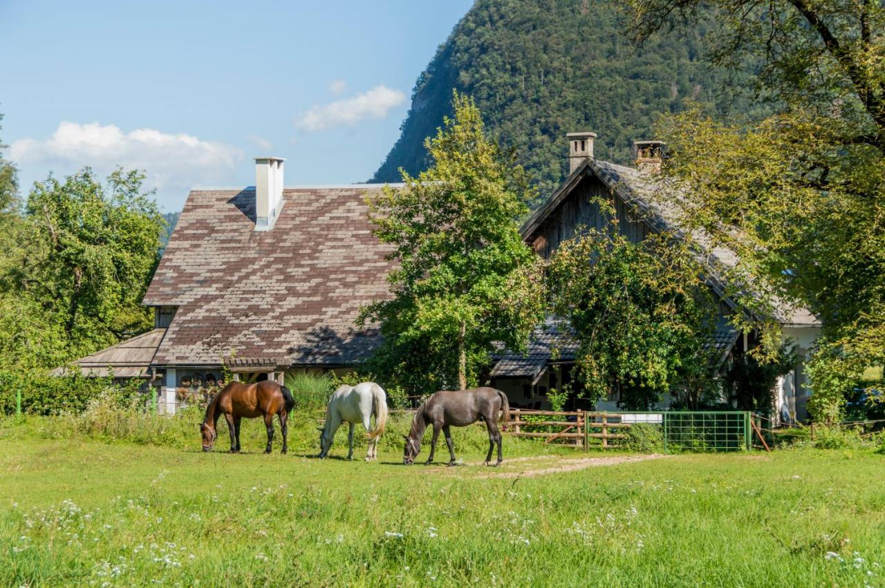 Charming Blacksmith'S House @ Lake Bohinji-tó Kültér fotó